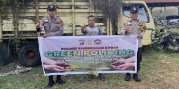 Polsek Pangkalan Kuras Tanam Bibit Manggis, Dukung Program Green Policing