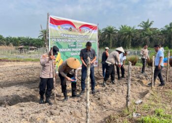 Polsek Kerumutan Tanam Jagung di Lahan Ketahanan Pangan Desa Banjar Panjang