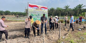 Polsek Kerumutan Tanam Jagung di Lahan Ketahanan Pangan Desa Banjar Panjang