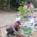 Polsek Bunut Tanam Bibit Rambutan di Mako, Dukung Program Penghijauan Polda Riau