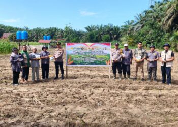 Polsek Ukui Bersama Kelompok Tani Tanam Jagung Pipil di Bukit Gajah
