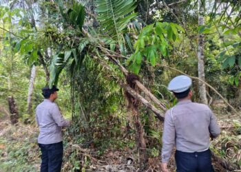 Polsek Pangkalan Kuras Intensifkan Patroli Karhutla di Sorek Satu, Antisipasi Kebakaran Lahan