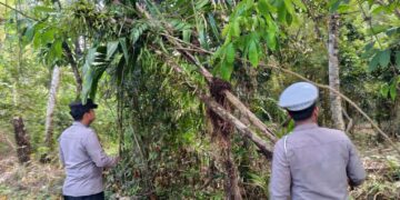 Polsek Pangkalan Kuras Intensifkan Patroli Karhutla di Sorek Satu, Antisipasi Kebakaran Lahan