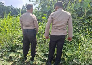 Polsek Pangkalan Kerinci Gencarkan Patroli Karhutla, Sosialisasikan Larangan Bakar Lahan