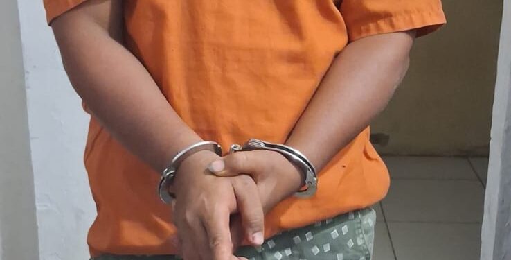 Polsek Perhentian Raja Tangkap Pelaku Narkoba yang Miliki 9 Paket Siap Edar 