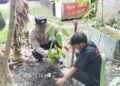 Polsek Ukui Tanam Bibit Kakao, Wujud Nyata Green Policing di Tengah Masyarakat