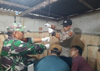 Temuan Warga Meninggal di Bandar Petalangan Pelalawan
