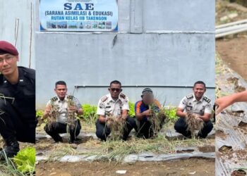 Sinergi Produktif, Rutan Takengon Buktikan Eksistensi Panen Raya Bawang Merah