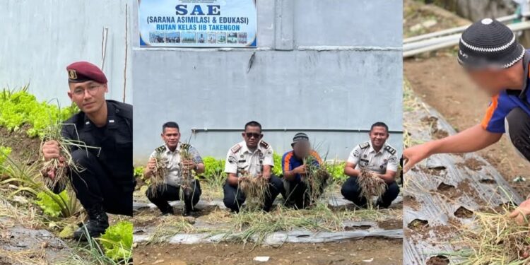 Sinergi Produktif, Rutan Takengon Buktikan Eksistensi Panen Raya Bawang Merah