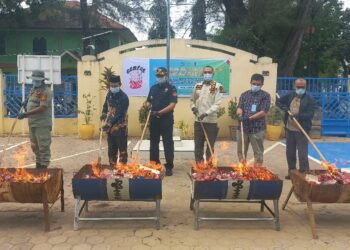 Gempur Rokok Ilegal, Bea Cukai Langsa Musnahkan 545.452 Batang Rokok Ilegal Senilai Rp1.29 Miliar