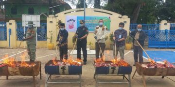 Gempur Rokok Ilegal, Bea Cukai Langsa Musnahkan 545.452 Batang Rokok Ilegal Senilai Rp1.29 Miliar