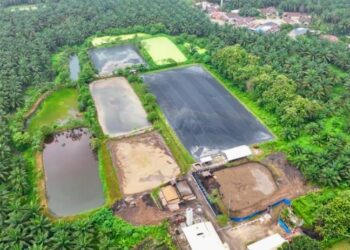 Hadapi Gejolak Energi Global, Holding Perkebunan Nusantara Andalkan PLTBg PalmCo