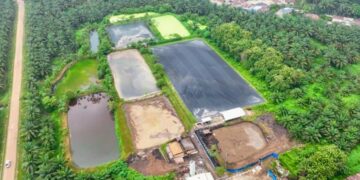 Hadapi Gejolak Energi Global, Holding Perkebunan Nusantara Andalkan PLTBg PalmCo