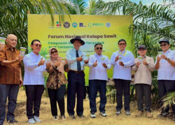 Dorong Produktivitas Sawit, Holding Perkebunan Nusantara melalui PalmCo Uji Serangga Penyerbuk Unggul Asal Tanzania