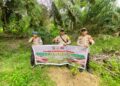 Tanam Bibit Manggis, Polisi Pangkalan Kuras Dukung Program Green Policing Kapolda Riau