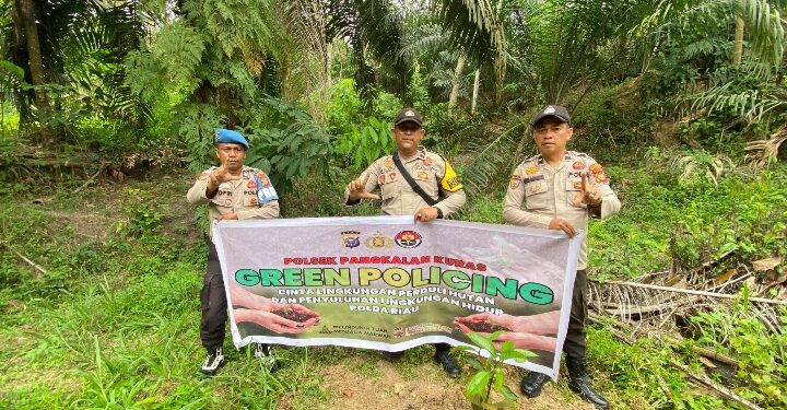 Tanam Bibit Manggis, Polisi Pangkalan Kuras Dukung Program Green Policing Kapolda Riau