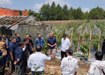 Holding Perkebunan Nusantara melalui PTPN I Gandeng Jinxiang Corp Kembangkan Budi Daya Bawang di Jawa Barat