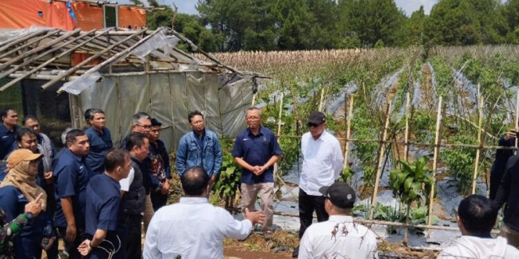 Holding Perkebunan Nusantara melalui PTPN I Gandeng Jinxiang Corp Kembangkan Budi Daya Bawang di Jawa Barat