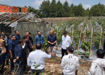 Perkuat Ketahanan Pangan, Holding Perkebunan Nusantara Melalui PTPN I Gandeng Jinxiang Kembangkan Bawang