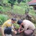 Sabtu Bersih, SMAN 4 Takengon Gelar Gotong Royong Dan Tanam Tumbuhan Berbuah