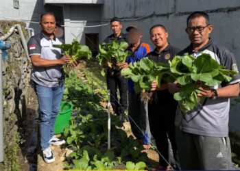 Sinergi Produktif, Rutan Takengon Buktikan Eksistensi Melalui Panen Raya Sawi