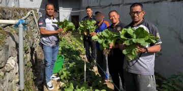 Sinergi Produktif, Rutan Takengon Buktikan Eksistensi Melalui Panen Raya Sawi