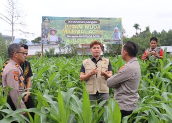 Kapolres Aceh Tengah Tinjau Perkembangan Tanaman Jagung Program Ketahanan Pangan