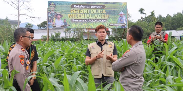 Kapolres Aceh Tengah Tinjau Perkembangan Tanaman Jagung Program Ketahanan Pangan