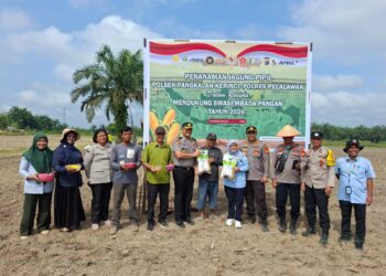 Polsek Pangkalan Kerinci Tanam Jagung Pipil di Lahan Asta Cita Km 55, Dukung Program Ketahanan Pangan Nasional