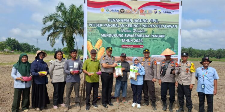 Polsek Pangkalan Kerinci Tanam Jagung Pipil di Lahan Asta Cita Km 55, Dukung Program Ketahanan Pangan Nasional