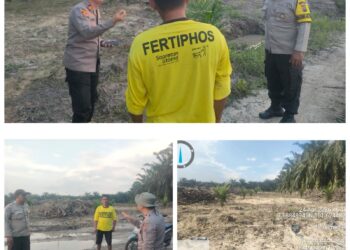 Kapolsek Langgam Tinjau Lahan Ketahanan Pangan Tumpang Sari di Desa Sotol