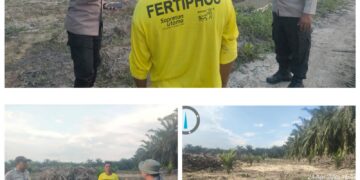Kapolsek Langgam Tinjau Lahan Ketahanan Pangan Tumpang Sari di Desa Sotol