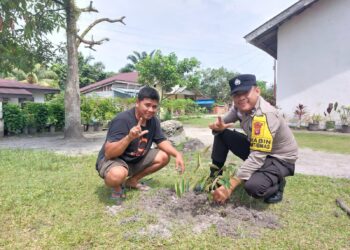 Polsek Bunut Tanam Bibit Durian Dukung Program Green Policing Polda Riau