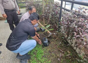 Polsek Pangkalan Kerinci Tanam Bibit Pohon Dukung Program Green Policing Polda Riau