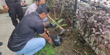 Polsek Pangkalan Kerinci Tanam Bibit Pohon Dukung Program Green Policing Polda Riau