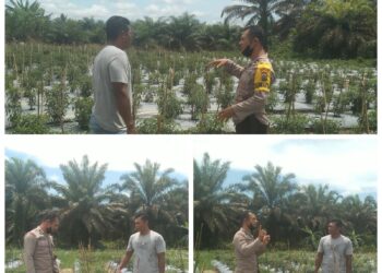 Bhabinkamtibmas Desa Segati Monitoring Program Ketahanan Pangan di Langgam
