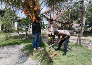 Polsek Bunut Lakukan Penanaman dan Perawatan Bibit Pohon Dukung Program Green Policing