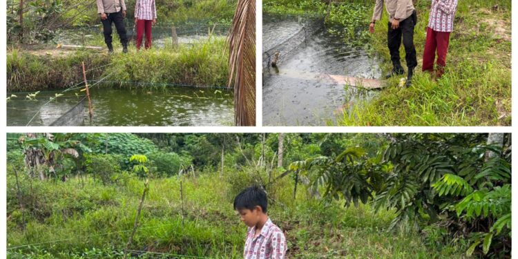 Bhabinkamtibmas Pangkalan Gondai Pantau Program Ketahanan Pangan Budidaya Lele di Langgam