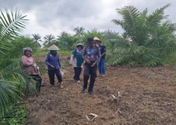 Polsek Pangkalan Kuras Dukung Ketahanan Pangan Lewat Penanaman Jagung Pipil di Desa Sialang Indah