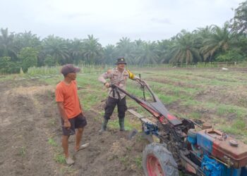 Polsek Kerumutan Dampingi Petani Buka Lahan, Dukung Program Ketahanan Pangan di Desa Banjar Panjang