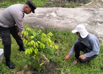 Tanam Bibit Kelengkeng di Bunut Bentuk Dukungan Program Green Policing Polda Riau