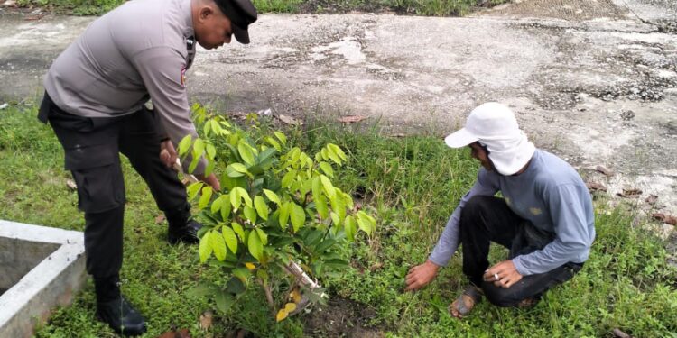 Tanam Bibit Kelengkeng di Bunut Bentuk Dukungan Program Green Policing Polda Riau