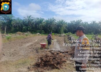 Swasembada Pangan, Polsek Ukui Bersama Petani Garap Lahan Jagung