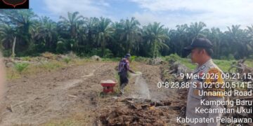 Swasembada Pangan, Polsek Ukui Bersama Petani Garap Lahan Jagung