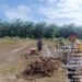 Swasembada Pangan, Polsek Ukui Bersama Petani Garap Lahan Jagung