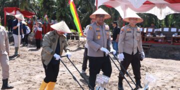 Polres Kampar Bersama Koppsa-m Tanami 10 Hectar Lahan Dengan Jagung, Garap Ketahtanan Pangan Sejak Akarnya   