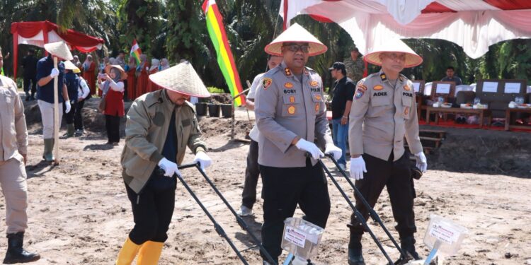 Polres Kampar Bersama Koppsa-m Tanami 10 Hectar Lahan Dengan Jagung, Garap Ketahtanan Pangan Sejak Akarnya   