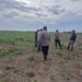 Polsek Kuala Kampar Tinjau Lahan Jagung Pipil di Desa Sungai Solok