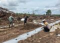 Bhabinkamtibmas Desa Tambak Monitoring Program Ketahanan Pangan di Langgam