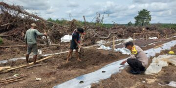 Bhabinkamtibmas Desa Tambak Monitoring Program Ketahanan Pangan di Langgam